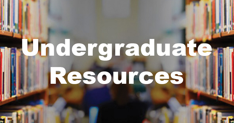 Learning Opportunities, Strategies and Resources for  Undergraduate Economic Students